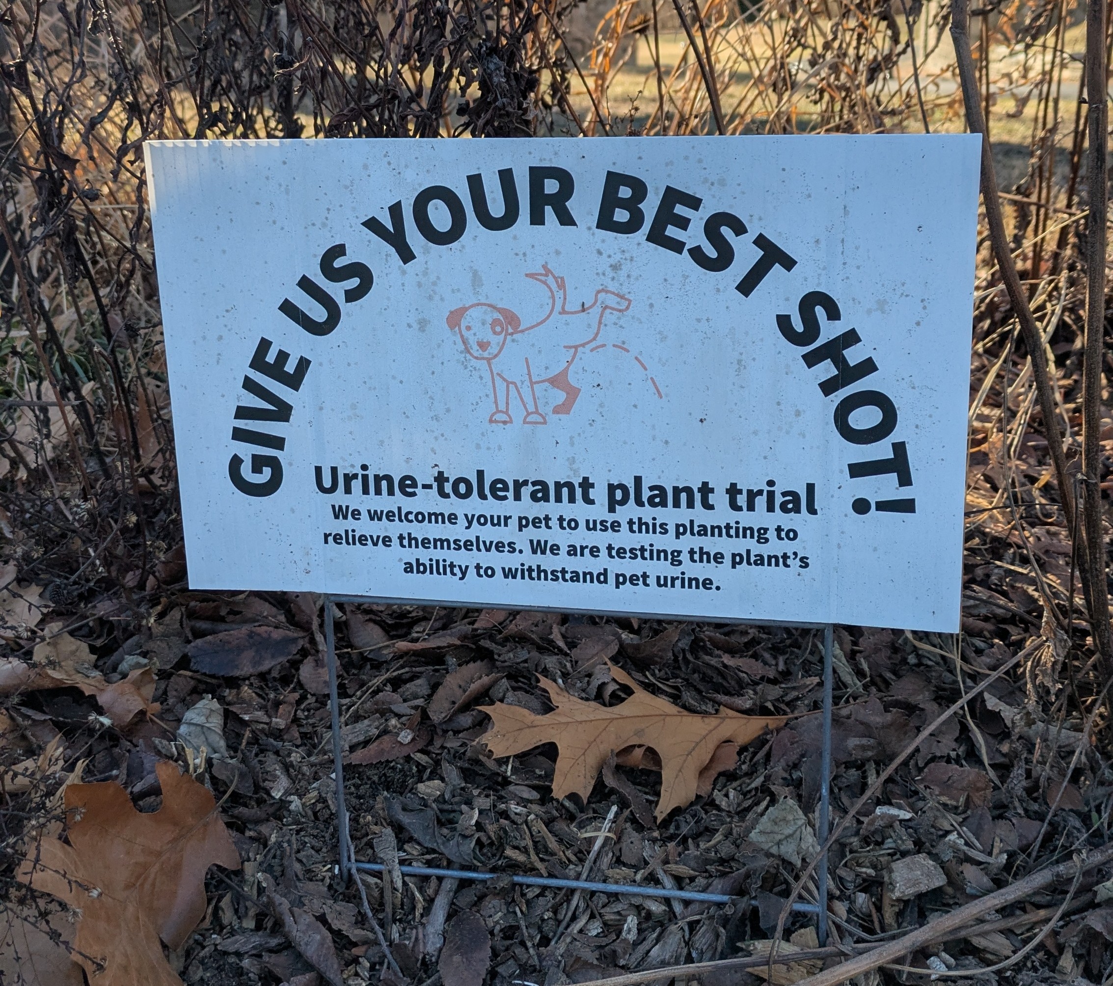 Photograph of a sign that reads: 'Give us your best shot! Urine-tolerant plant trial. We welcome your pet to use this planting to relieve themselves. We are testing the plan't ability to withstand pet urine.' The sign also features a line illustration of a dog peeing with its leg up. The sign is in the Woodlands Cemetery in West Philadelphia