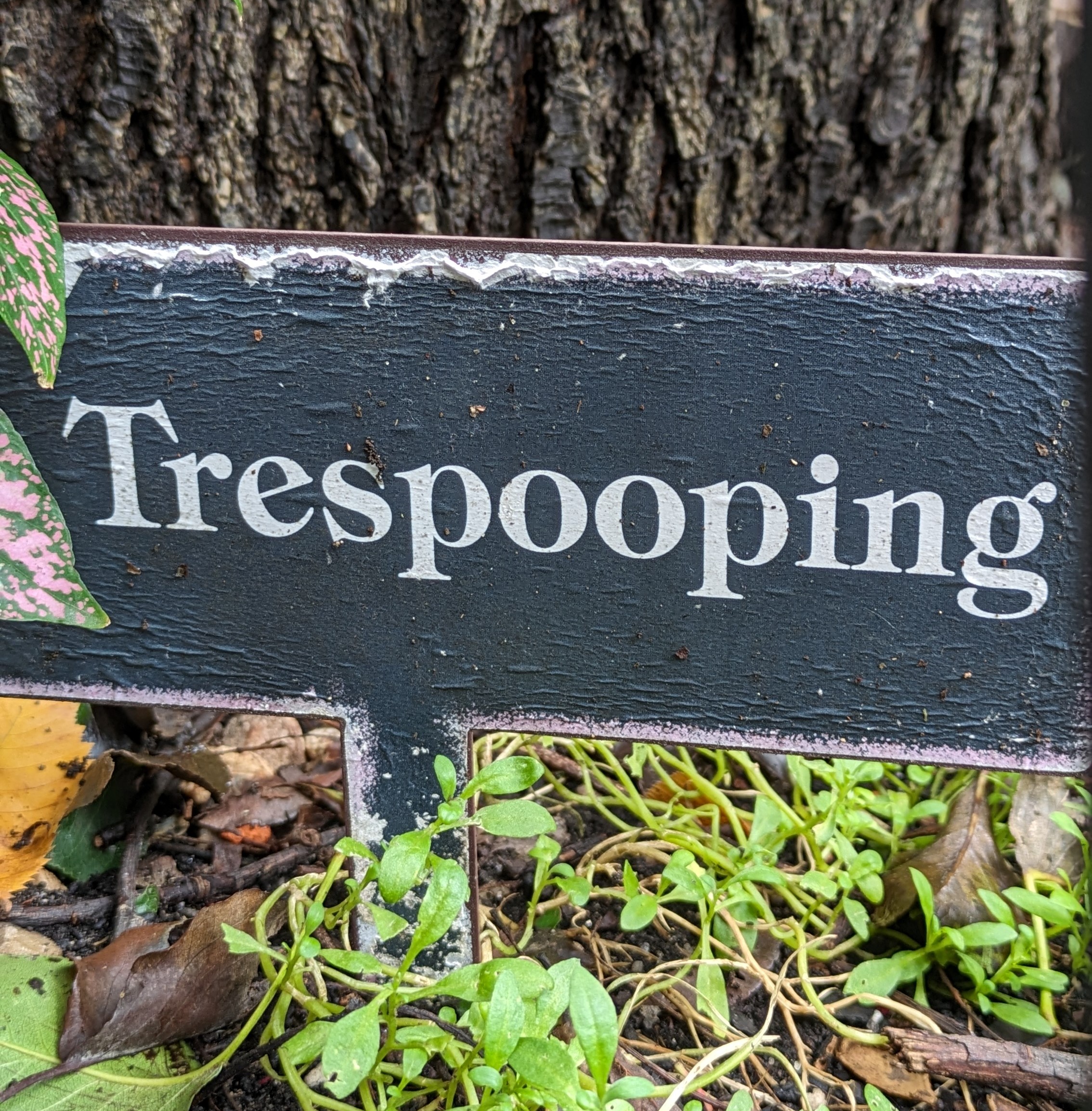 Photograph of an aging sign in a garden that reads Trespooping in white serif font on a black background.