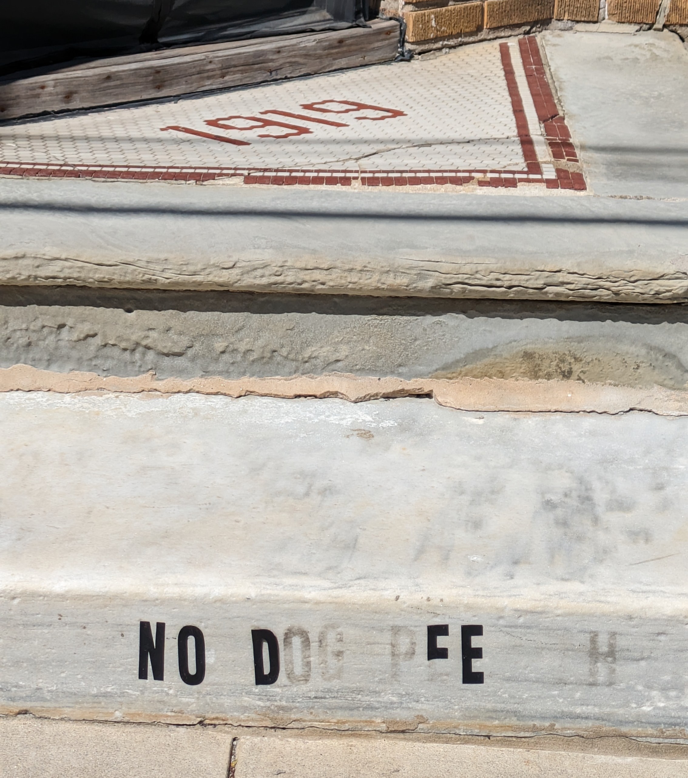 Photograph of the other side of the same stone steps with the same aging vinyl lettering thing happening. Because of the remaining glue you can barely make out that it also says NO DOG PEE THX, but the only stickers that remain are the full NO, the letter D in dog, and the two letter E's in pee.